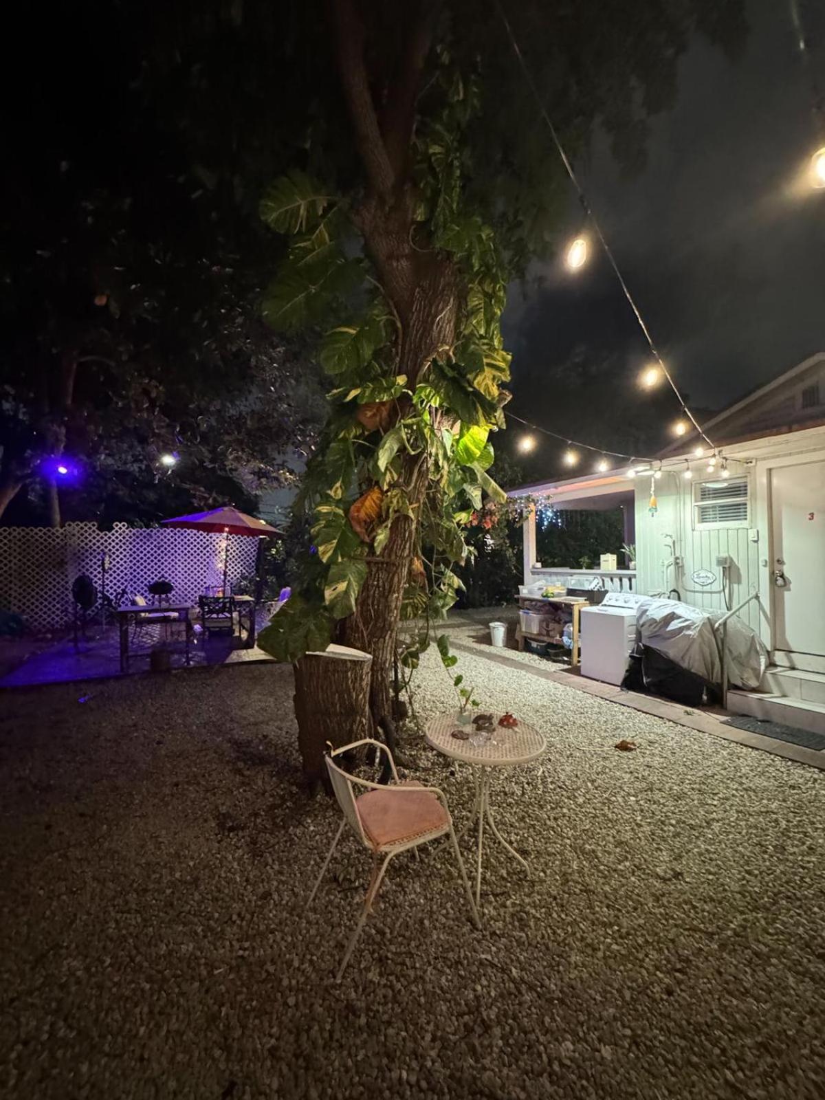 Deluxe Room In Best Location Miami In A 2 Bedrooms Unit - Parking, Laundry And Luggage Storage Ngoại thất bức ảnh